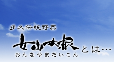 女山大根とは